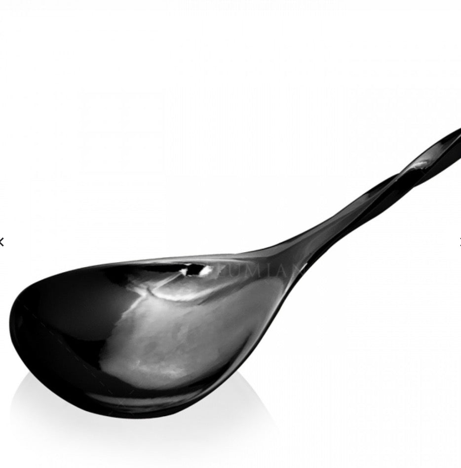 Hoffmann Bar Spoon 30cm Back