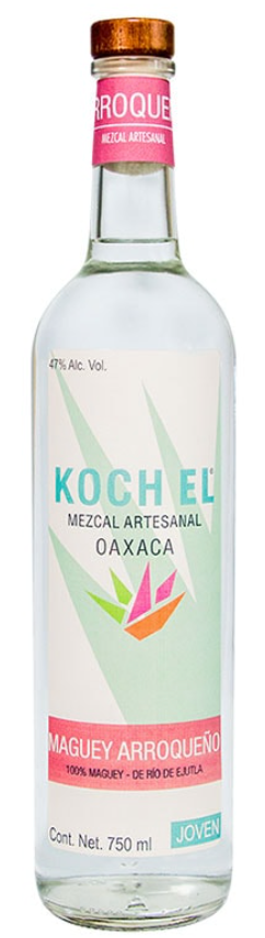 Koch Arroqueno